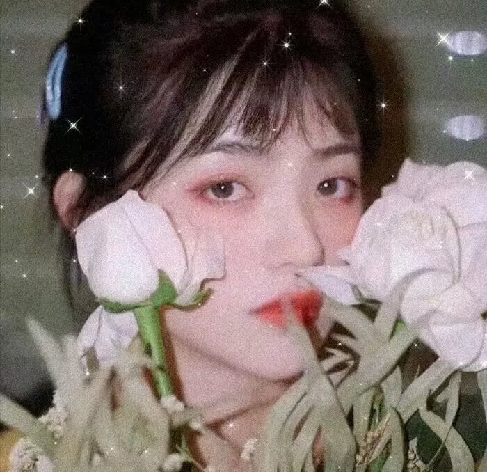 非快速眼动之窗2023夏